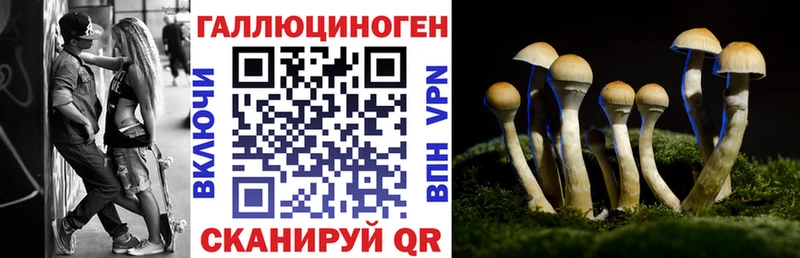 Купить закладки  Тавда  Галлюциногенные грибы MAGIC MUSHROOMS 